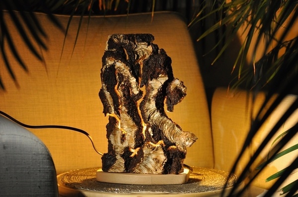 Lampe en écorce de chêne