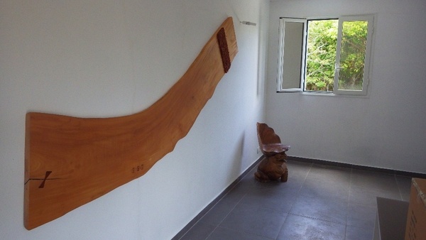 Tableau nature Acajou