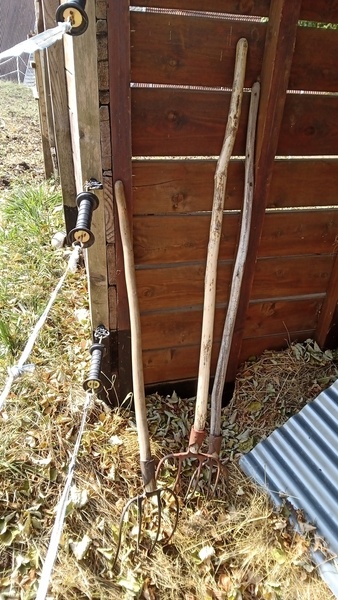 Mon nom est Jen....Jen Manche