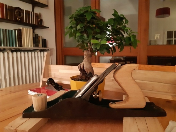 Poignée de rabot en Hêtre