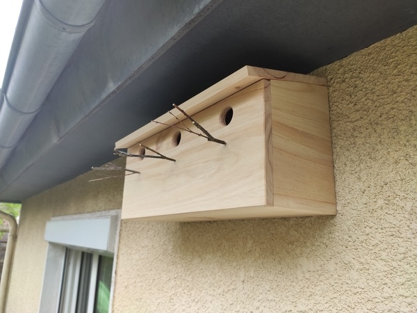 Nichoir pour moineaux