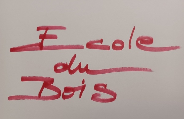 Chaînes YT d'apprentissage