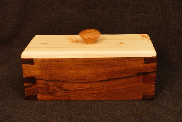 Premières queues d'aronde!