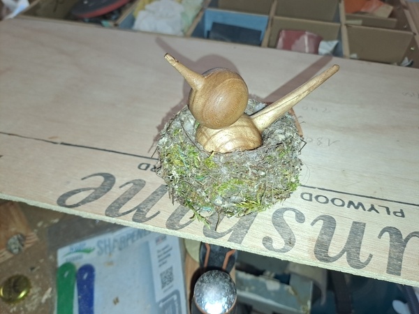 Petit oiseau dans son nid