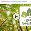 MOOC Comprendre la Gestion Forestière sur FUN