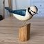Mésange bleue