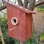 Cabane à oiseaux