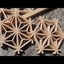 Assemblages Kumiko