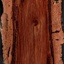 Chêne liège