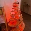 Sapin