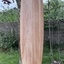 Longboard hollow en bois de paulownia