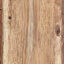 Albizzia