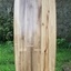 Planche de surf hollo 6'6"x22"x2 3/4 paulownia