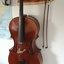 Support Violoncelle (Fall in Love)