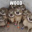 w00dw00d