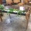 Un bureau jardinière par un jardibéniste