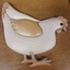 Une poule en intarsia