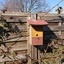 Cabane à oiseaux avec webcam intégrée