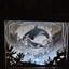 Light box animaux marins.