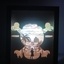 Light Box One Piece