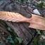 Cuillère feuille
