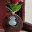 Structure vase
