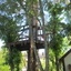 Petit projet d'été: une cabane dans les arbres