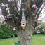 Petite Cabane à oiseau