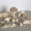 Puzzle de la forêt