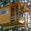 Cabane dans les arbres