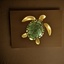 Tortue