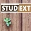 Studext