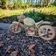 Moto en bois