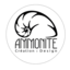 Ammonite