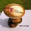 Ballon de rugby