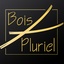 Bois Pluriel
