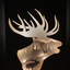 Light Box Cerf