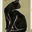 Gatos